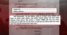 ভোটের আগেই ‘ভোটকেন্দ্র দখলের অভিযোগপত্র’ তৈরি করে রেখেছে বিএনপি!