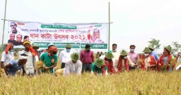 এপ্রিলে রফতানি আয় বেড়েছে ৫০৩ শতাংশ