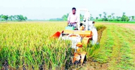 হাওড়ে ধান কাটছে ৭৪১ যন্ত্র:বোরো ফসল ঘরে তুলতে সর্বাত্মক প্রস্তুতি